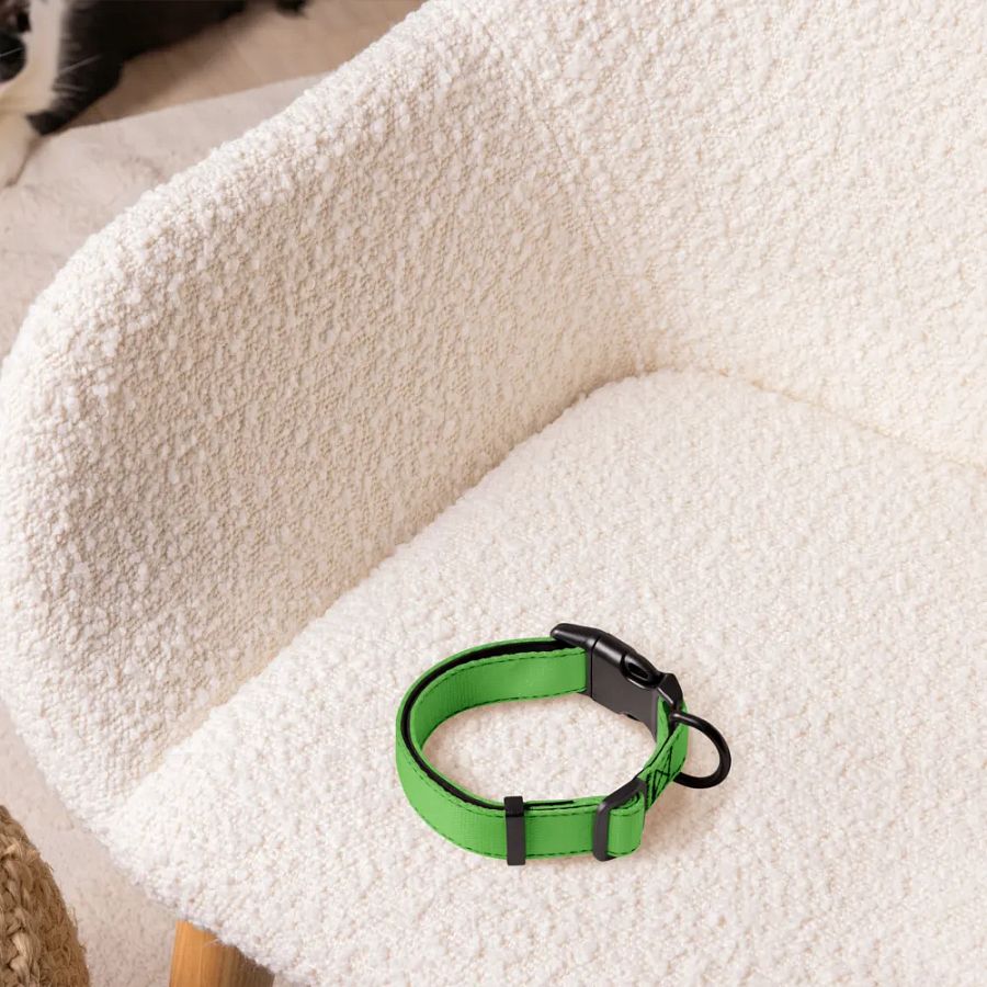 Pet Collar - Green Edition product image (5)
