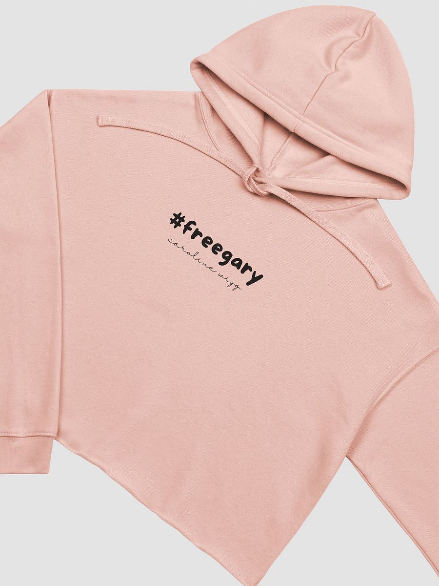 Free Gary Crop Hoodie - Light Colours product image (5)