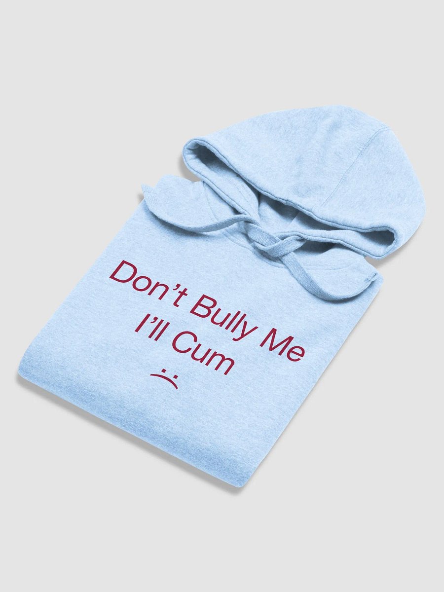 Bully Hoodie Light product image (5)