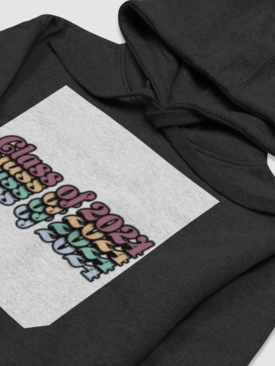 Class of 2024 Premium Unisex Hoodie product image (3)