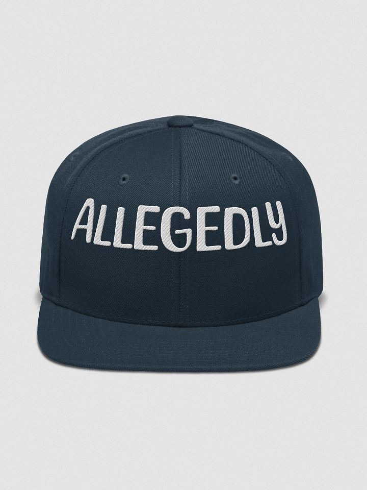 ALLEGEDLY POLITICAL HAT product image (4)