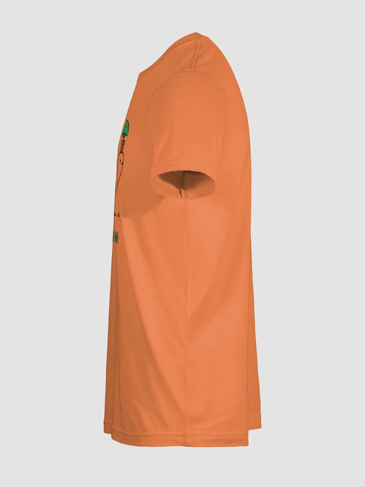 Tortoise Oasis Tee product image (11)