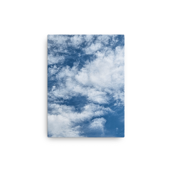 Up in the Sky Canvas product image (13)