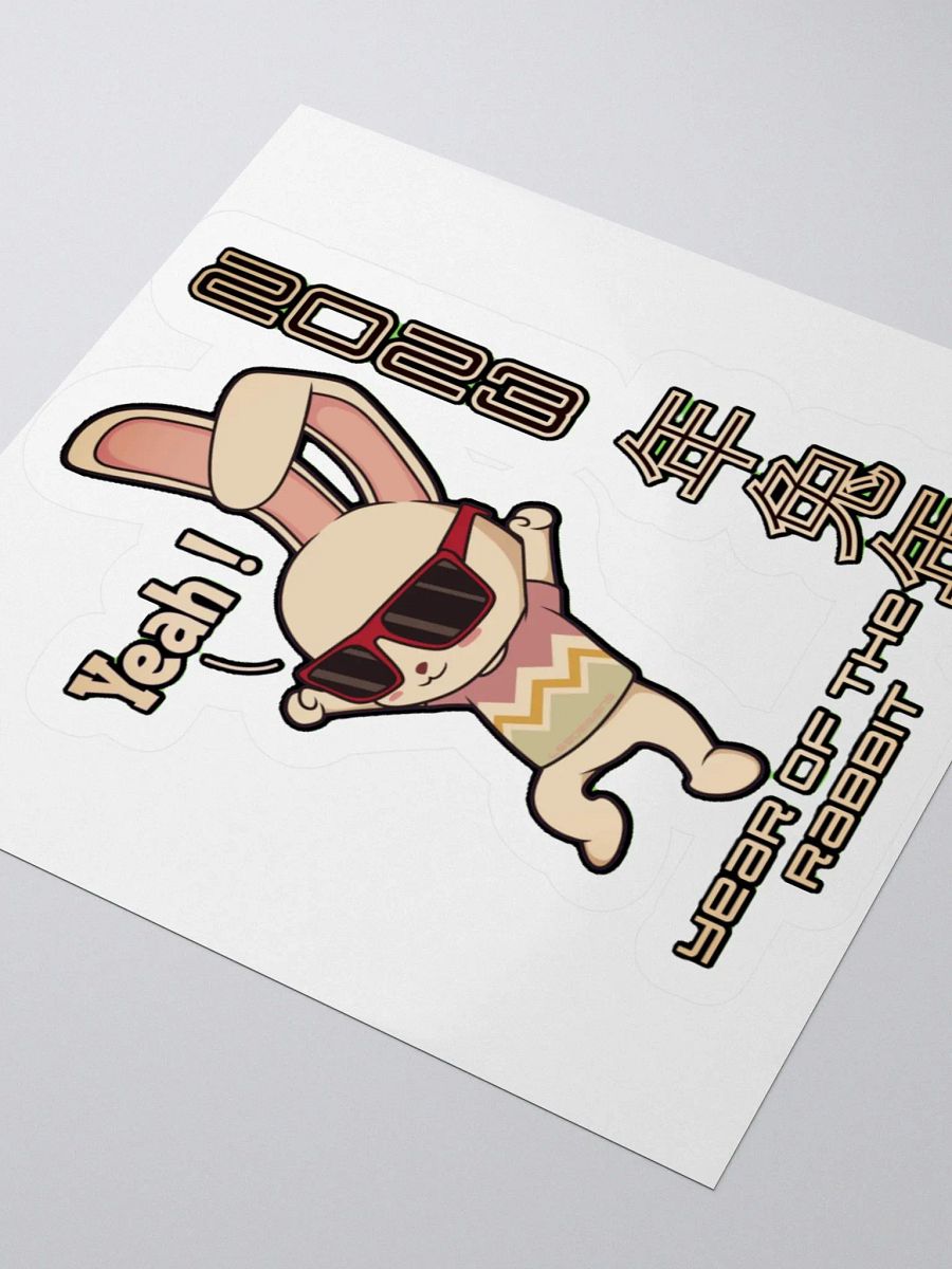 2023 YEAR OF THE RABBIT product image (7)
