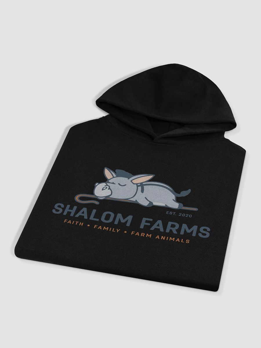 AS Color Premium Oversize Hoodie Full Logo product image (3)