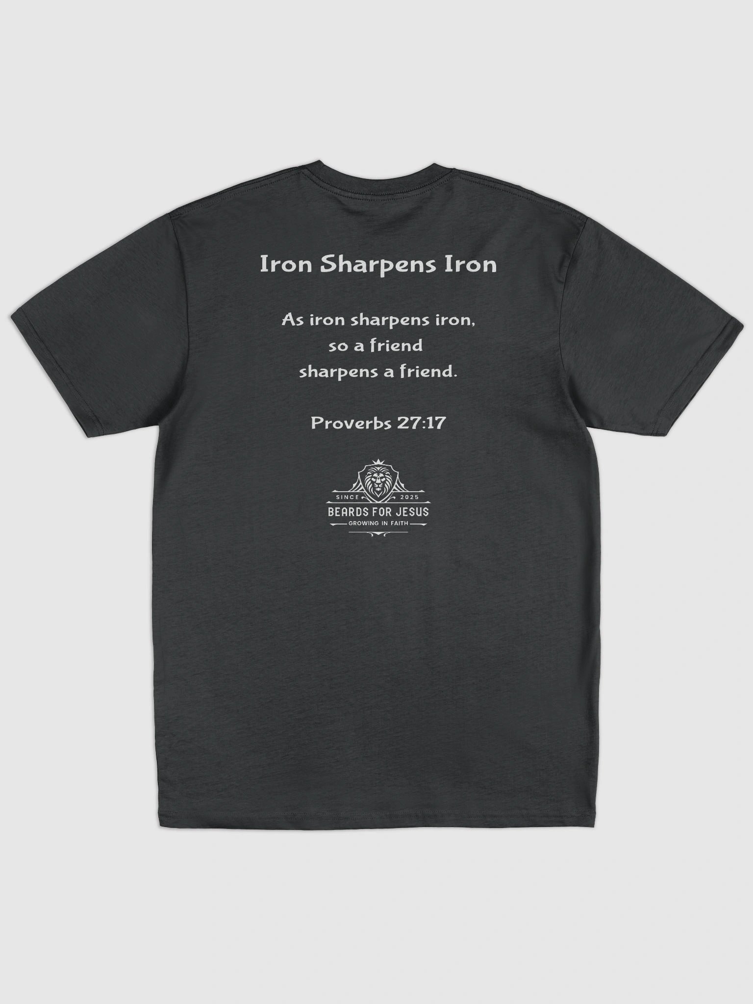 Proverbs 27:17 Tee product image (4)