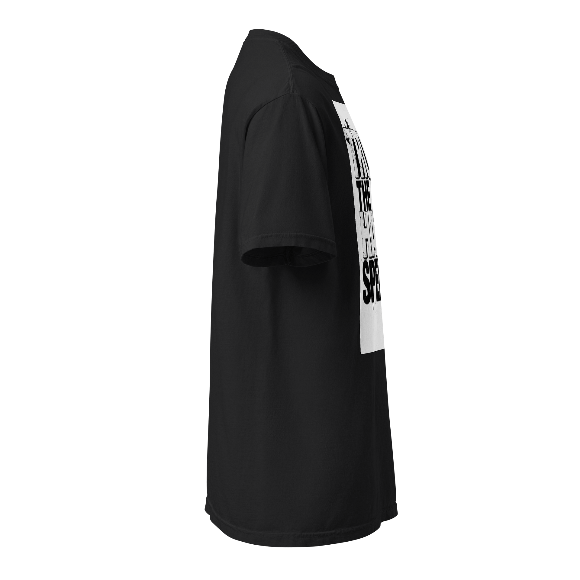 TRUTH HATE SPEECH Statement Tee product image (16)