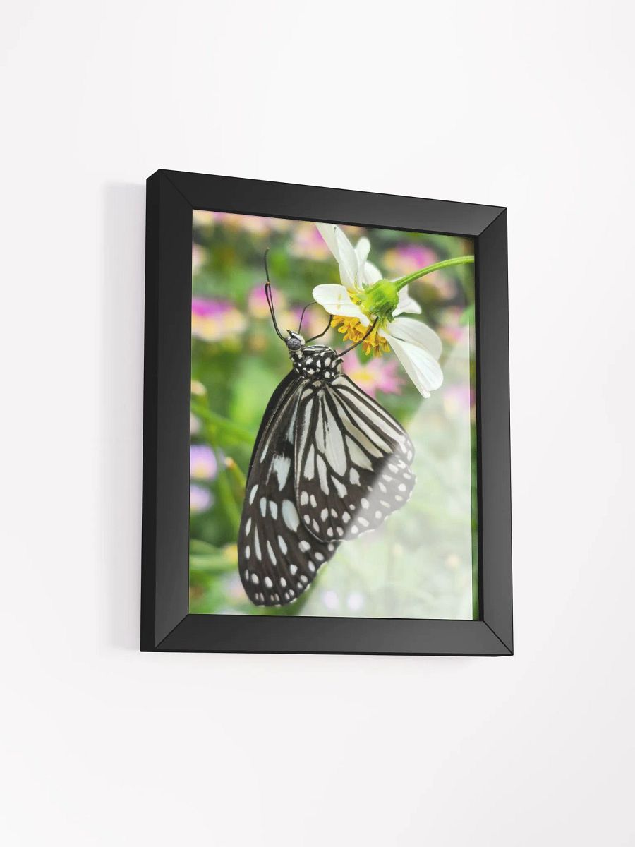 Tropical Paper Kite Butterfly Framed Matte Poster #2 product image (3)