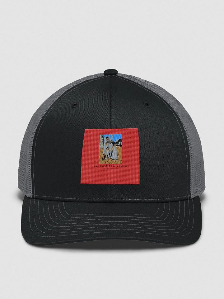 cap product image (2)