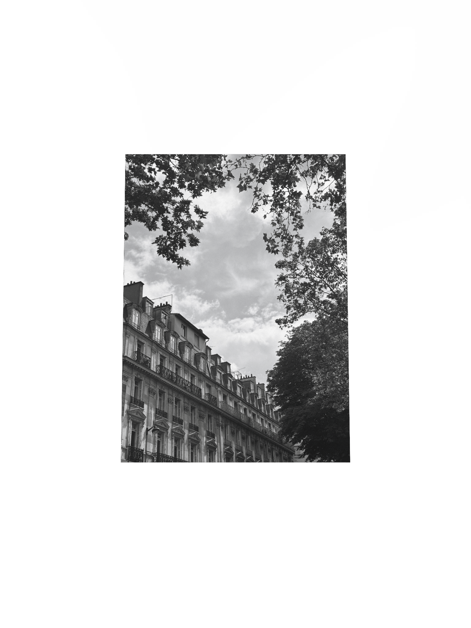 Toits ciel parisien dé-saturé (impression) product image (4)