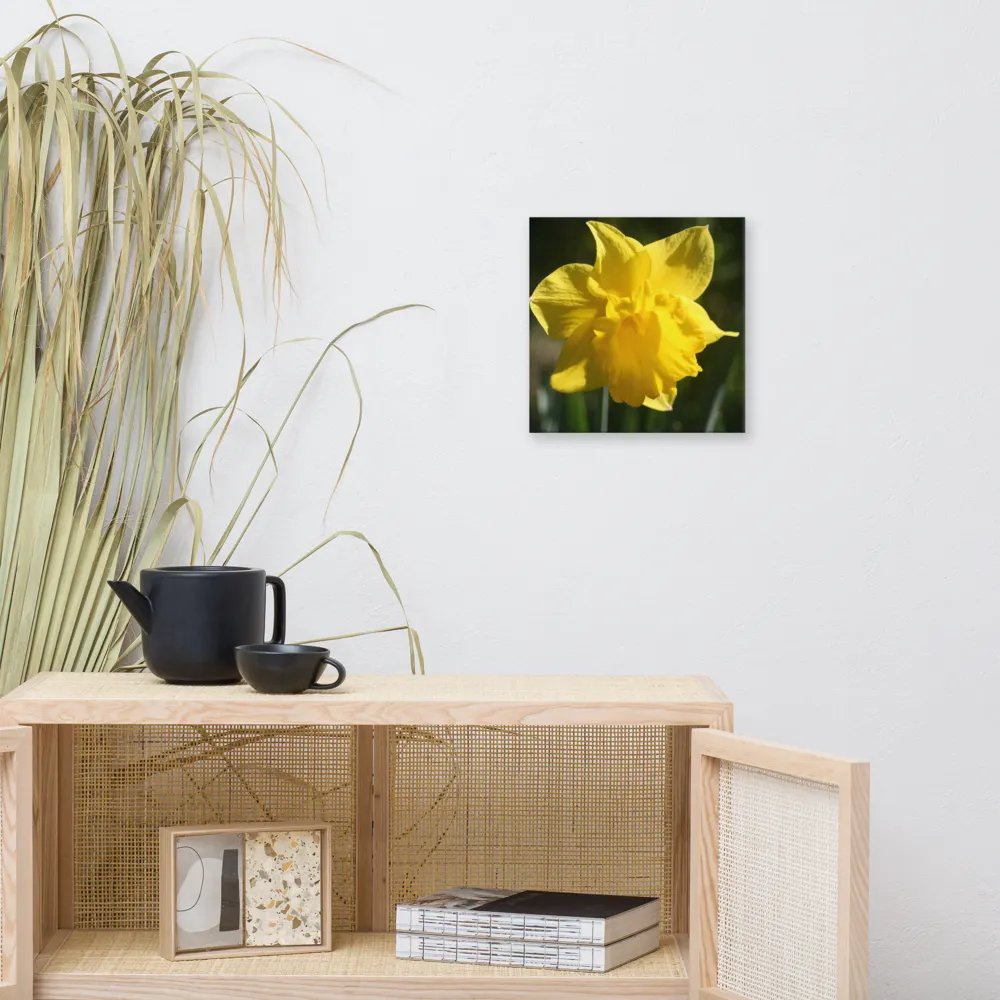 Daffodil product image (9)