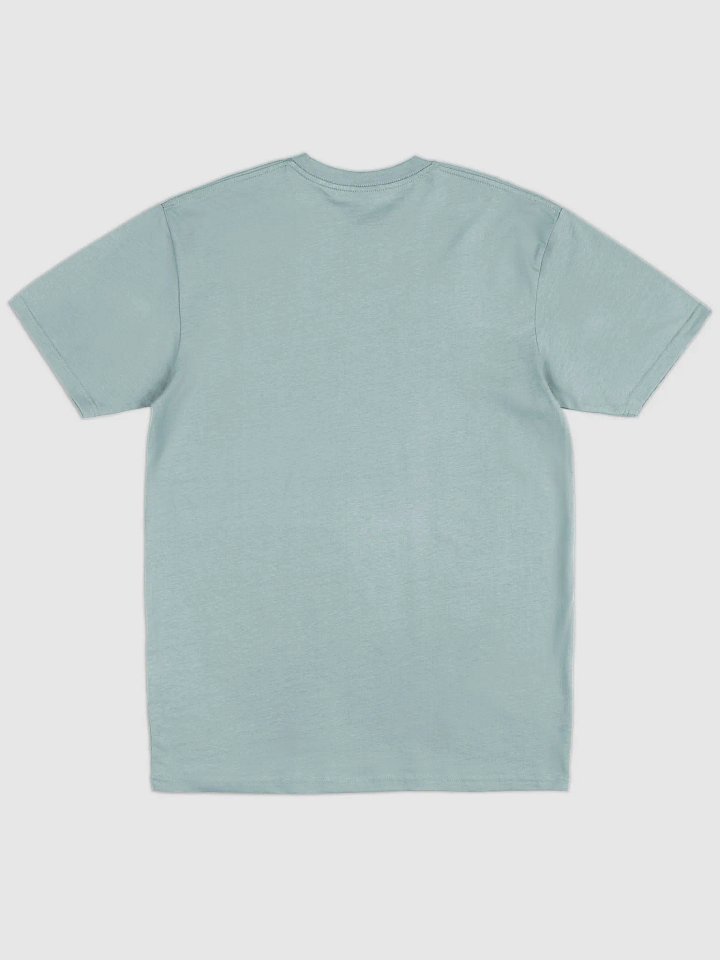 2Rawhh Premium Heavyweight Tee product image (8)