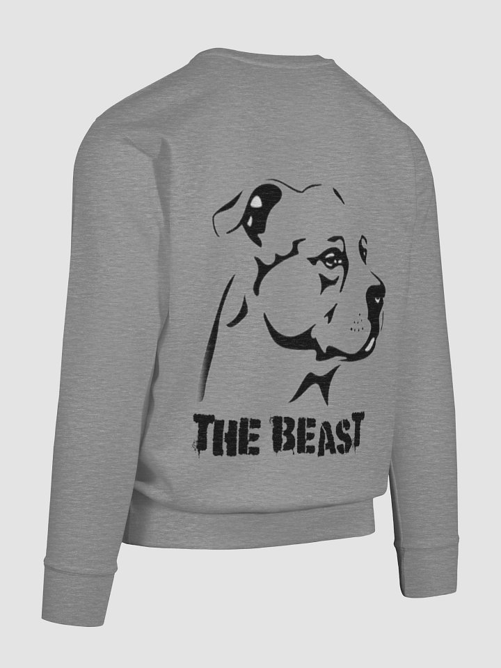 Bluza The Beast (M) product image (2)
