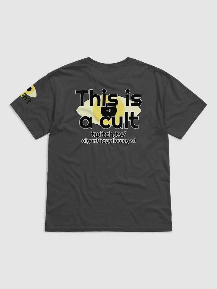 Logo Heavyweight T-shirt product image (2)