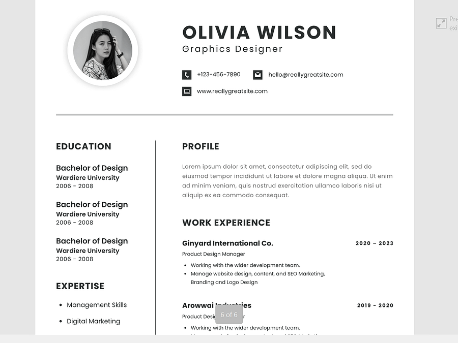 5 CV Templates in PDF Format product image (2)