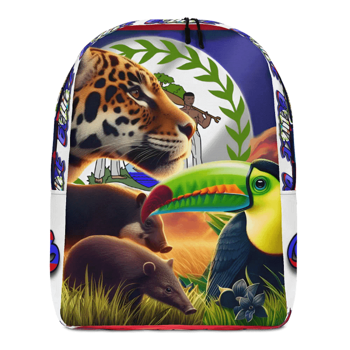 Beauty of Belize Backpack product image (1)