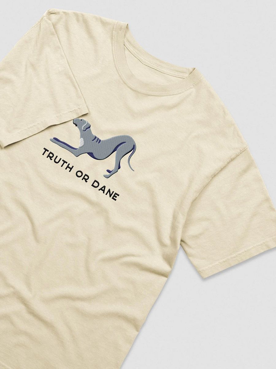 Truth or Dane T-Shirt(Embroidered) of a Great Dane(Blue) product image (6)