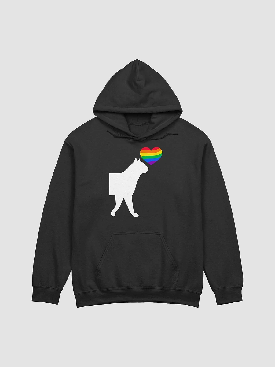 LGBTQ+ Hoodie Pussycat Rainbow Heart (dark) product image (4)