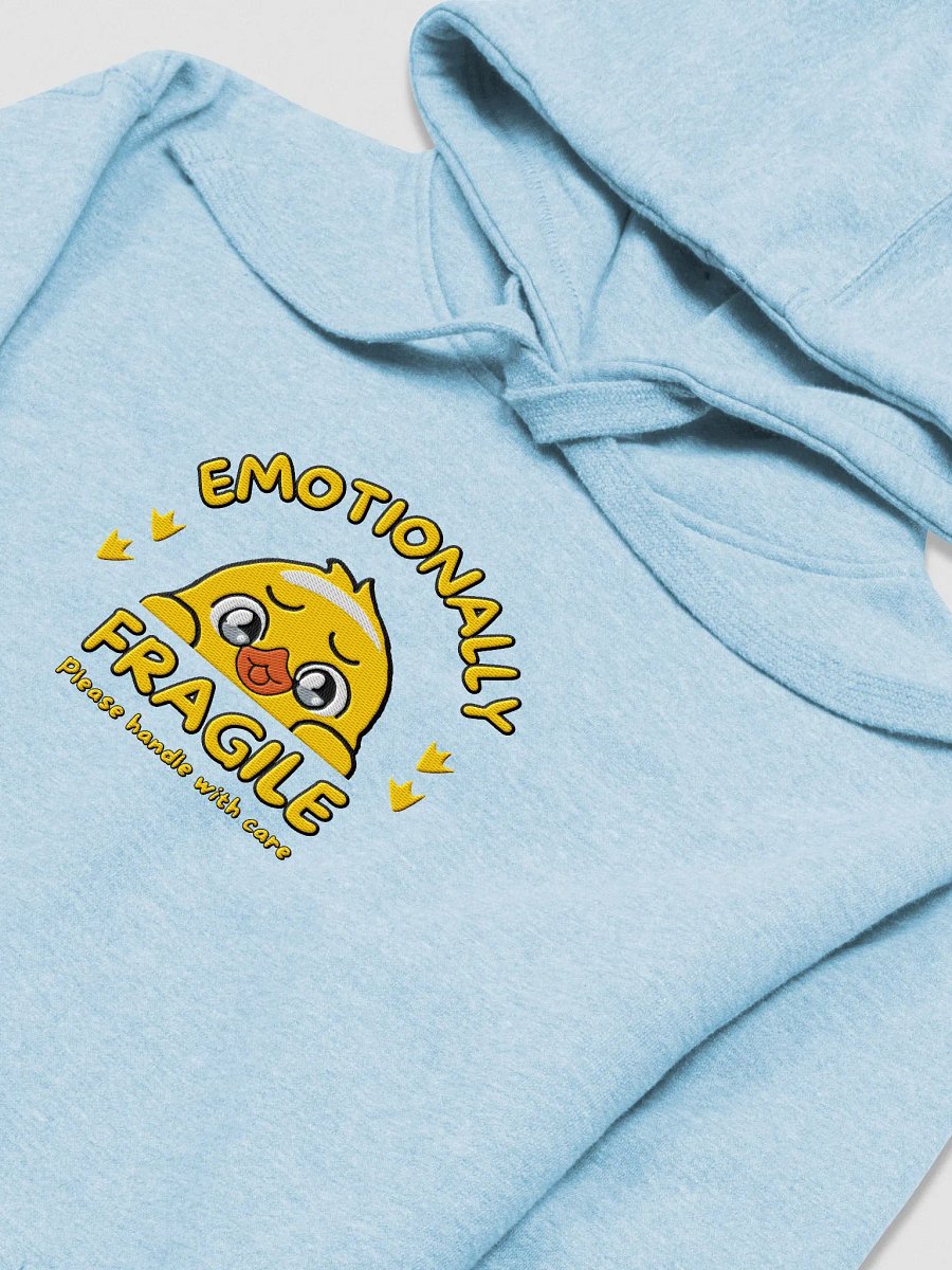 Embroided Emotionally Fragile Hoodie (Large Logo) product image (26)