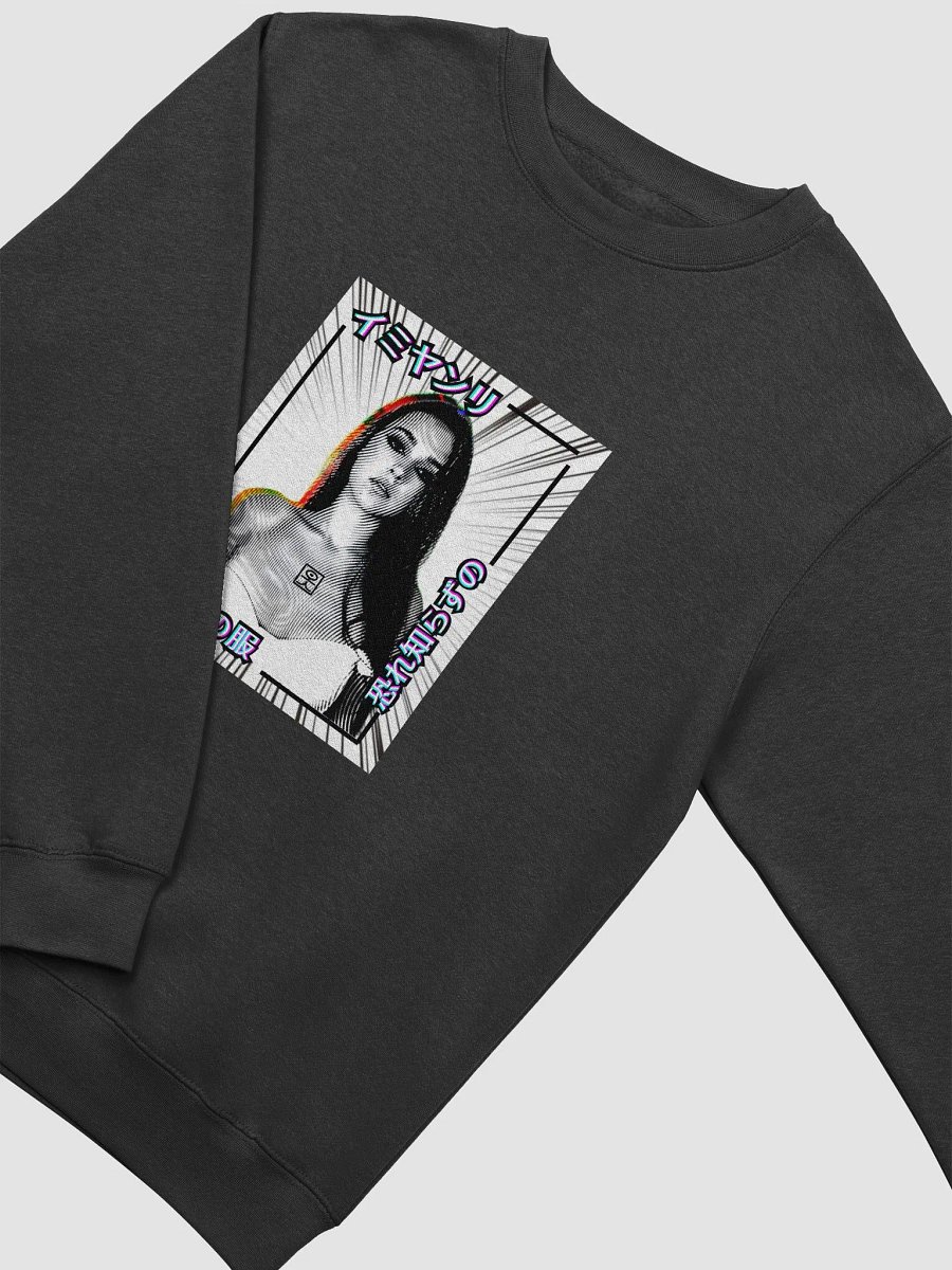 Sweatshirt D (multi color) product image (3)
