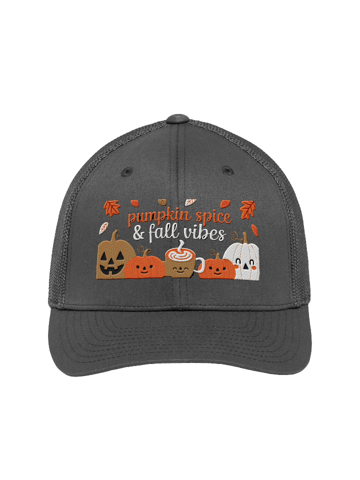 Pumpkin Spice & Fall Vibes product image (1)