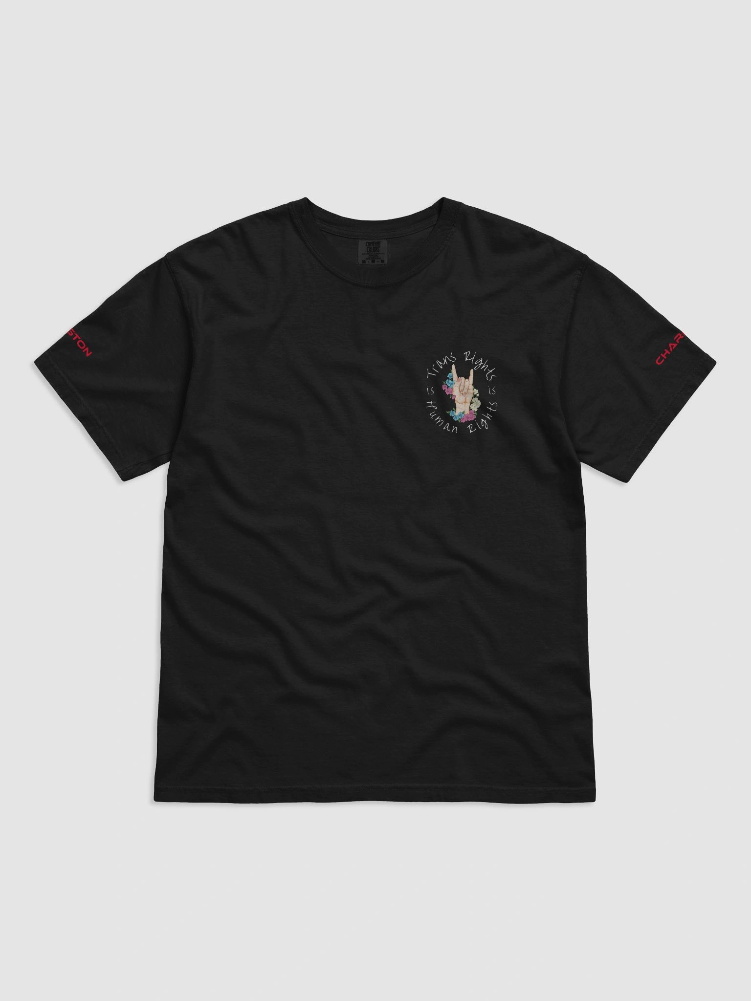 Trans Rights T-Shirt product image (3)