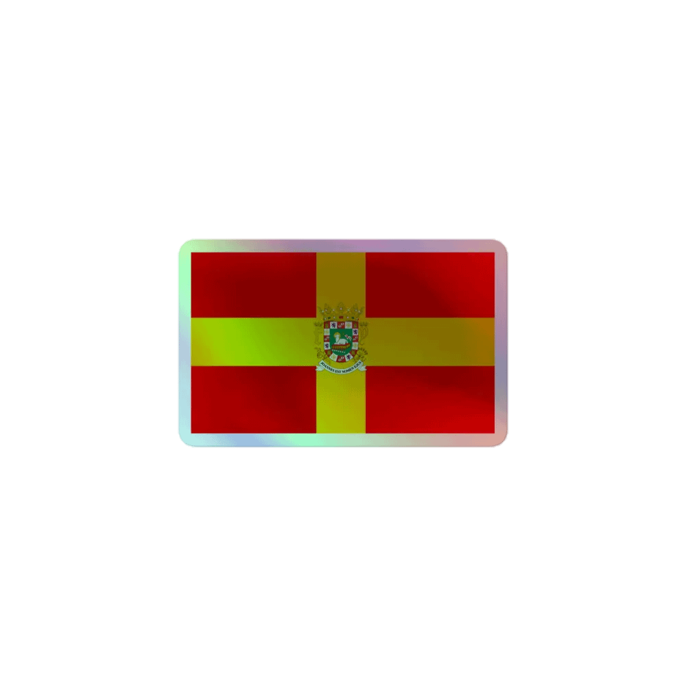 Pegatina Holográfica Bandera Provincia product image (1)