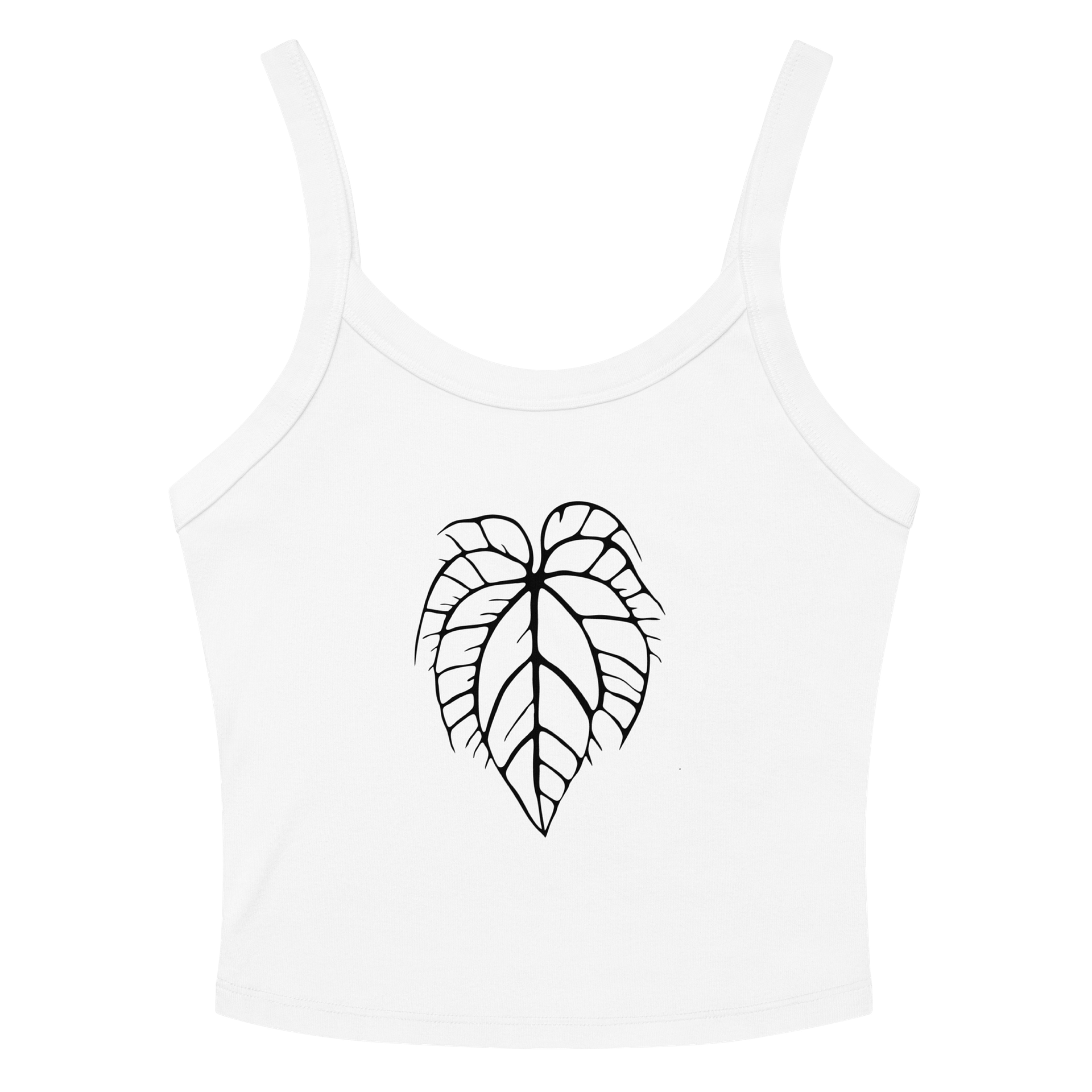 ANTHURIUM CRYSTALLINUM SKELETON - Mid-Length Tank product image (14)