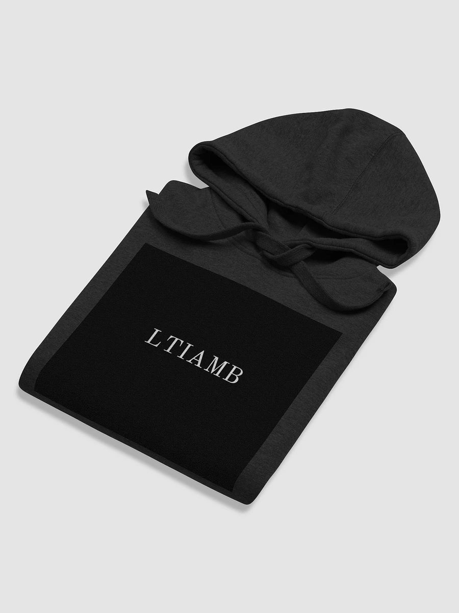 LTIAMB Hoodie product image (5)