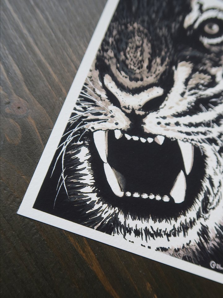 print : tiger product image (2)