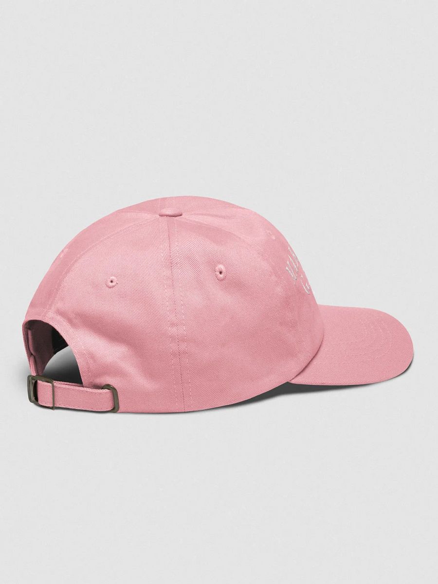 MAKE AMERICA ✨GAY✨ AGAIN HAT product image (4)