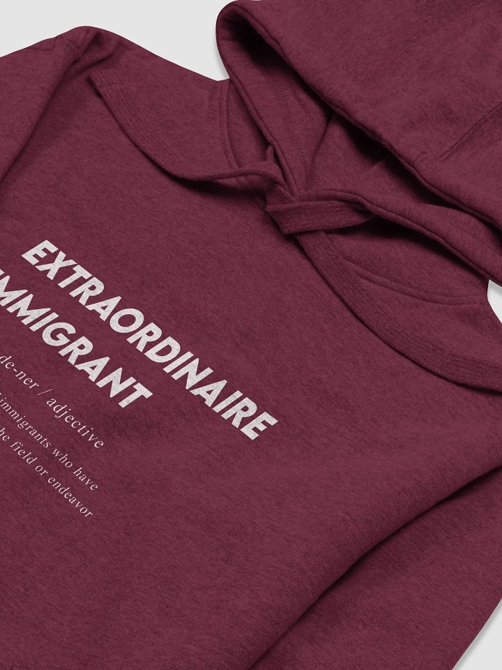 Extraordinaire Immigrant Hoodie – Celebrate Excellence product image (1)