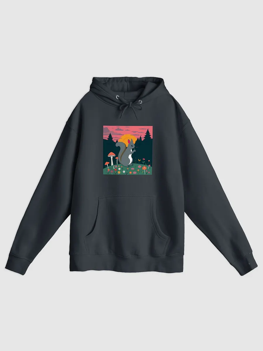 Sunset Squirrel Hill Pullover Hoodie product image (1)