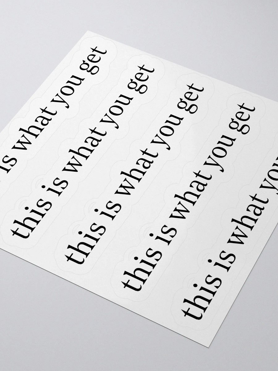 this is what you get stickers product image (8)