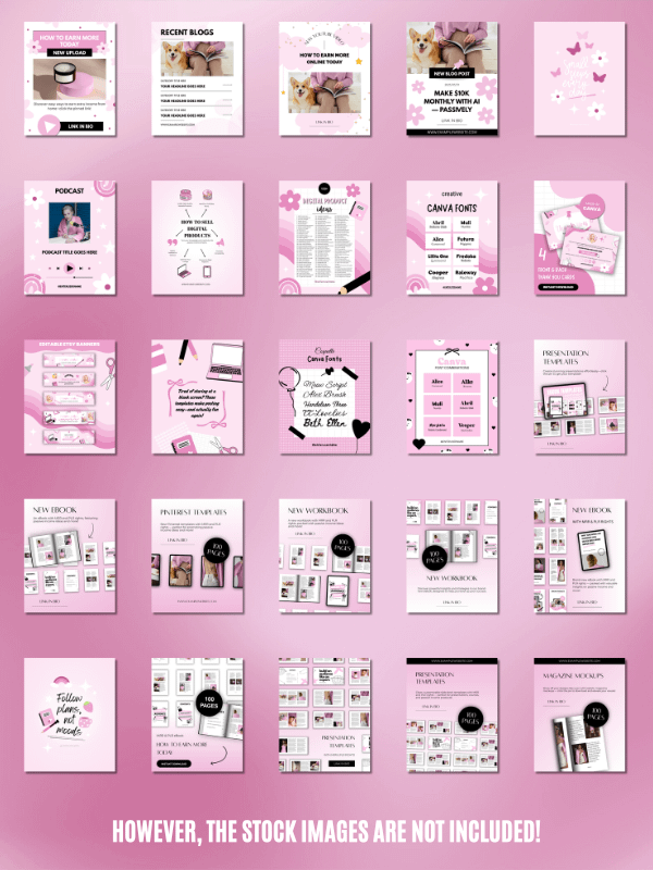 MRR/PLR Instagram Templates for Digitals product image (5)