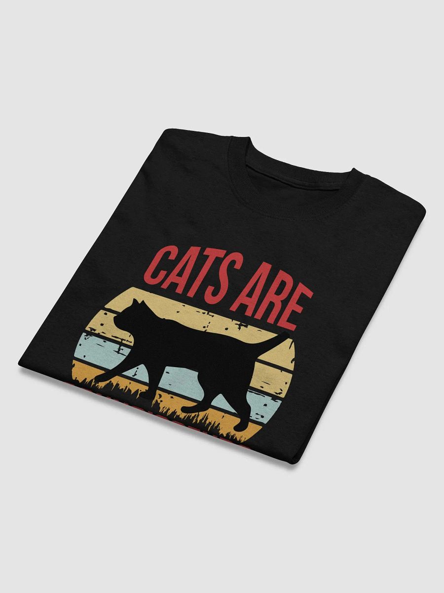 Cats are connoisseurs of comfort product image (43)