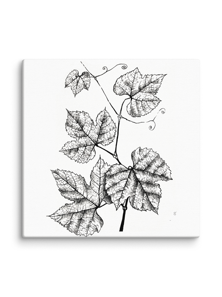 Botanical Bliss Canvas Art - Grape Leaves product image (2)