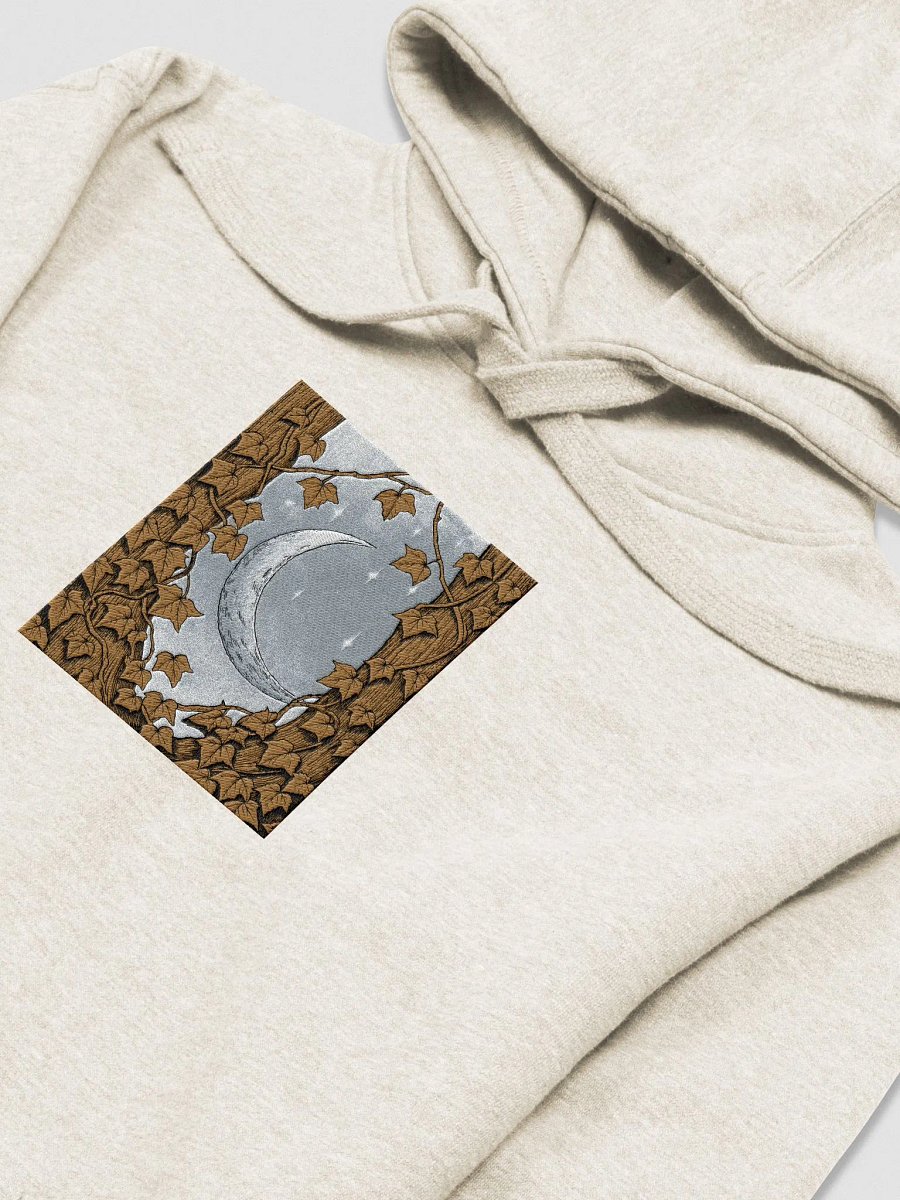 Starry Night Unisex Premium Hoodie product image (37)