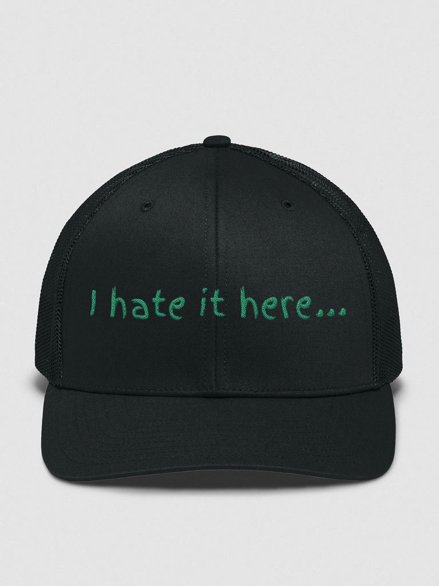 I hate it here Richardson product image (1)