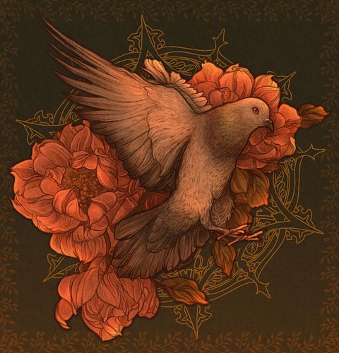 “I don’t understand why people would want to get rid of pigeons. They don’t bother no one.” 
- Mike Tyson, believe it or not!...