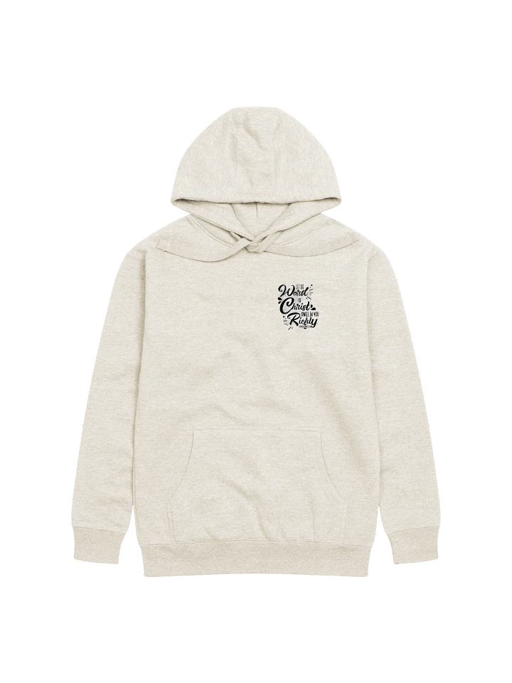 Copy of Salvation Prayer - Jesus Hoodie product image (3)