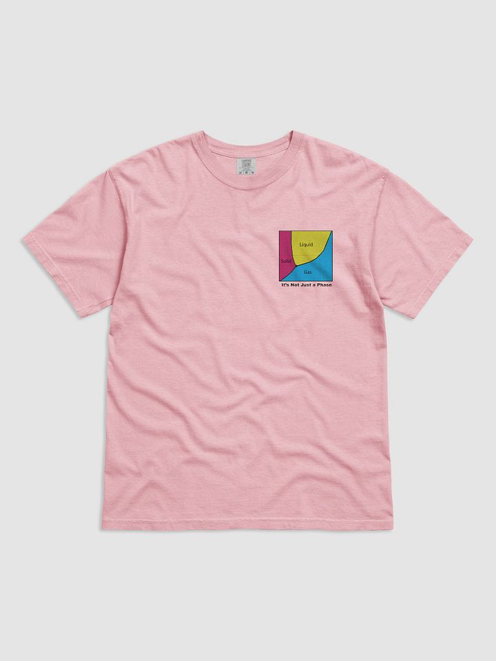 It's Not Just a Phase- Pan T Shirt product image (1)