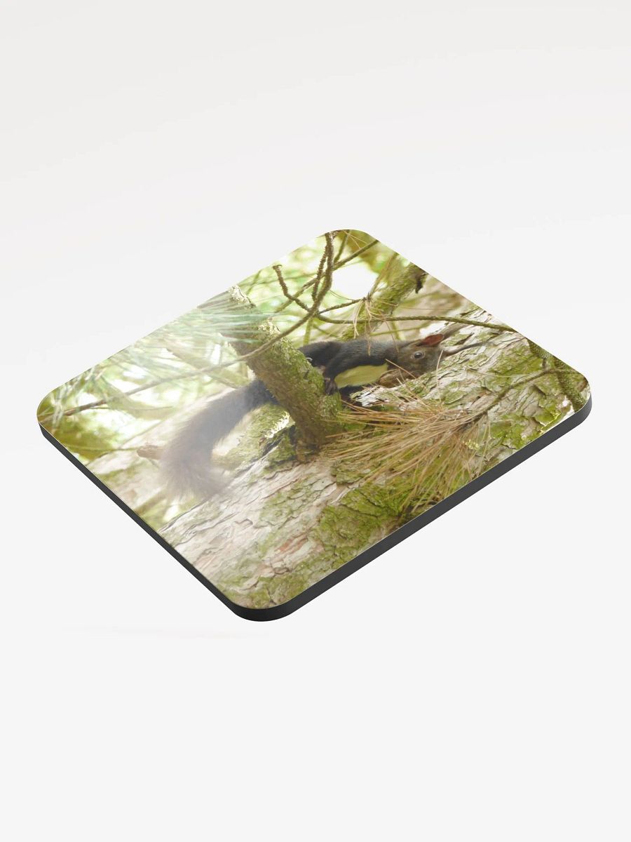Glossed Cork Coaster - The Eurasian red squirrel product image (3)