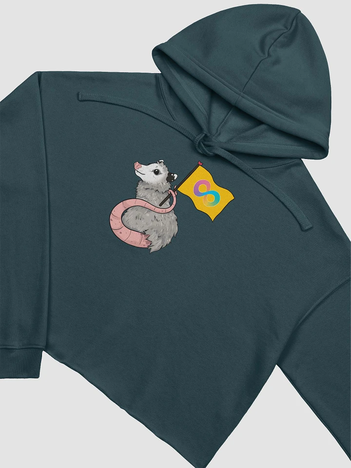 Autism Pride possum fleece crop hoodie product image (1)