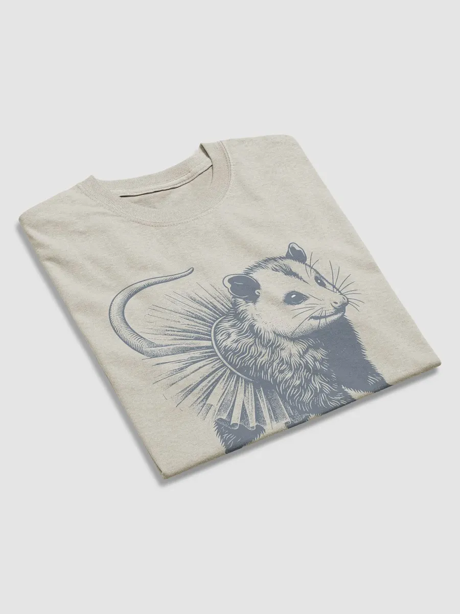 Opossum In Tutu Streetwear Tee product image (3)