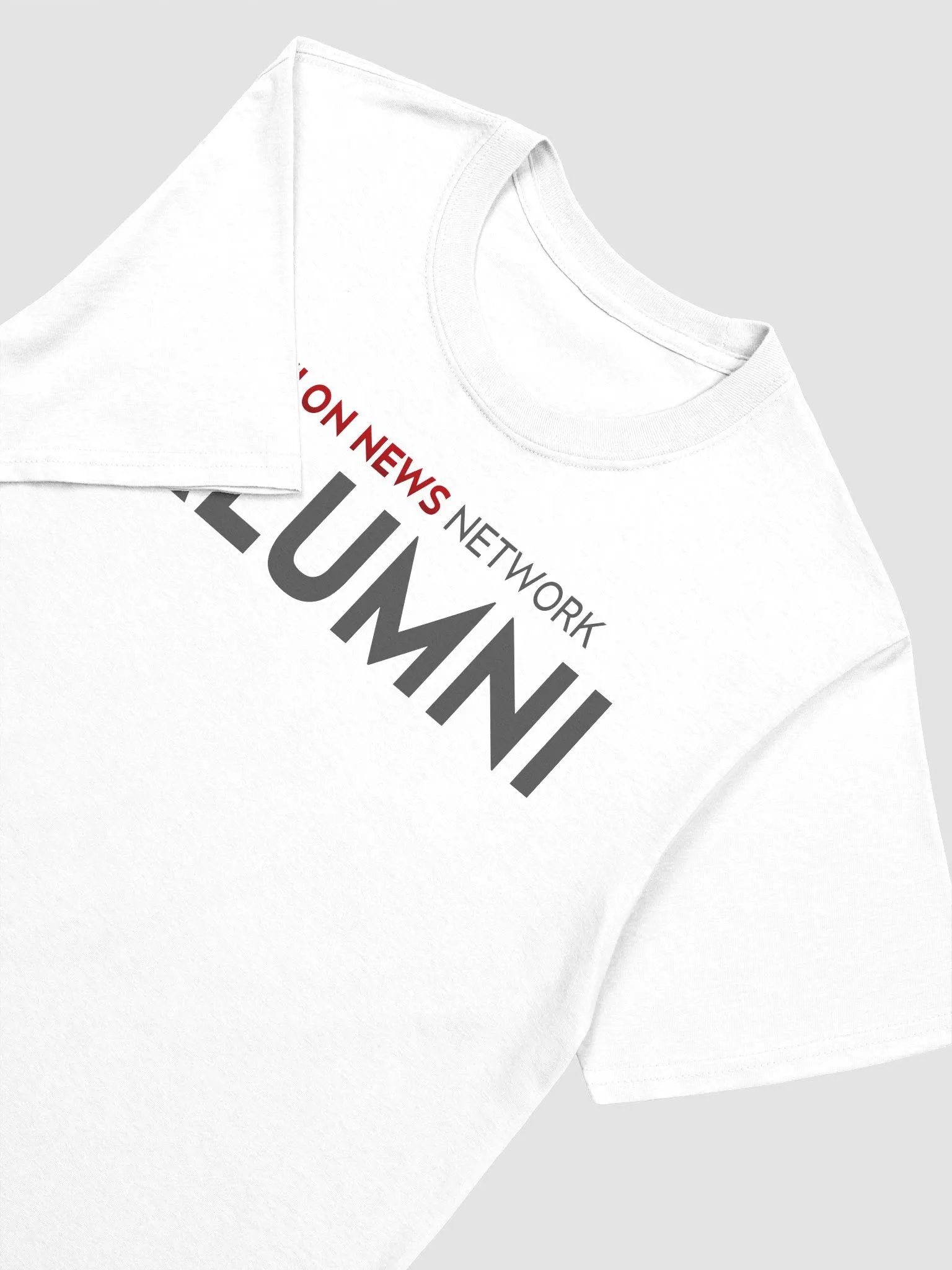 ENN Alumni Gildan Shirt product image (3)