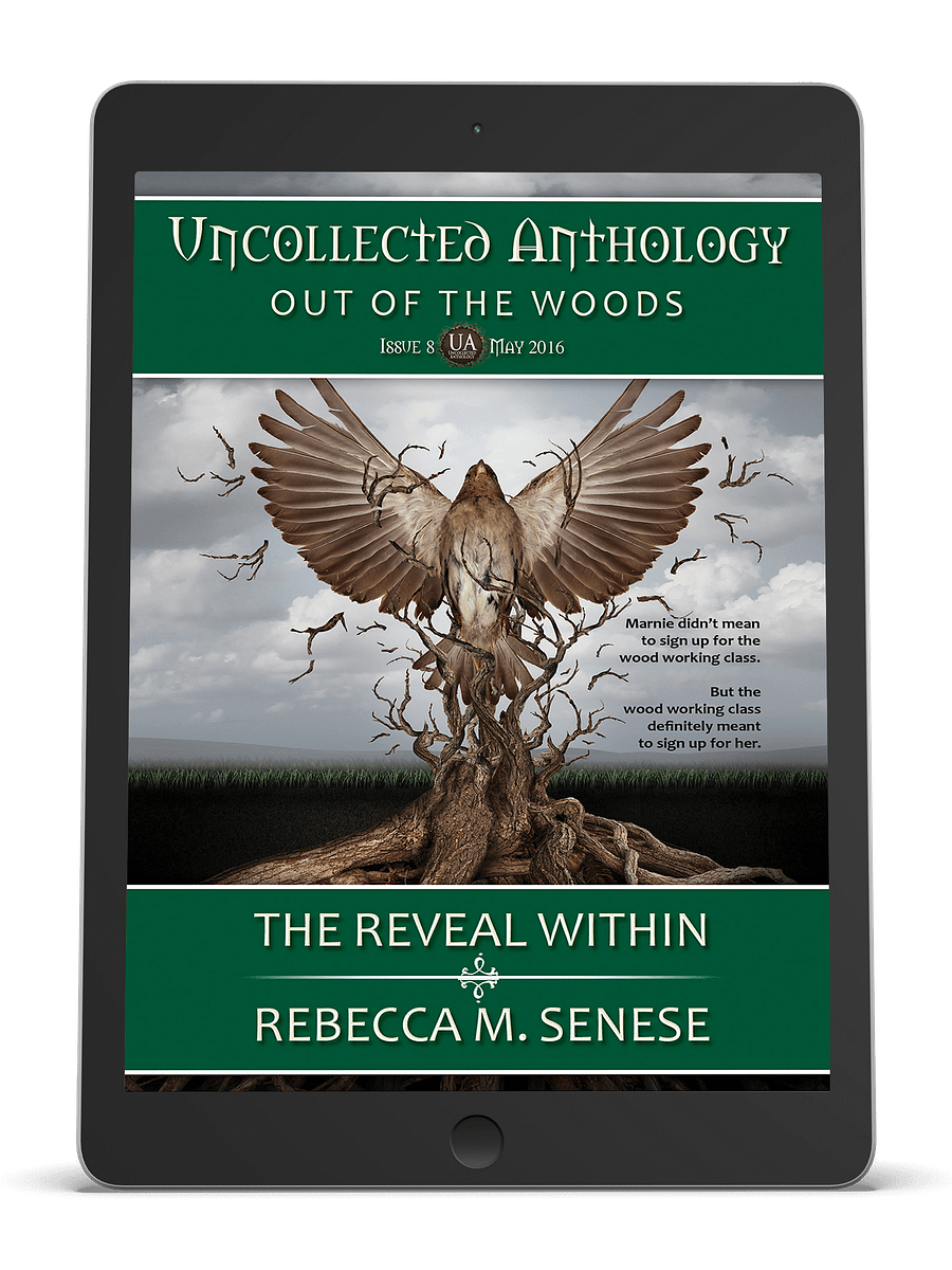 The Reveal Within product image (1)