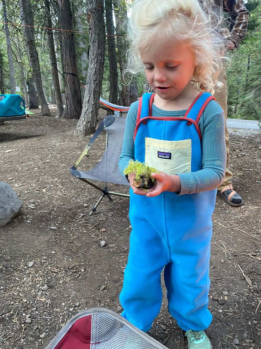 Camping with Kids Guide product image (4)