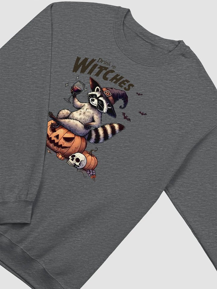 Drink Up Witches Halloween Raccoon Long Sleeve Unisex Sweatshirt product image (1)