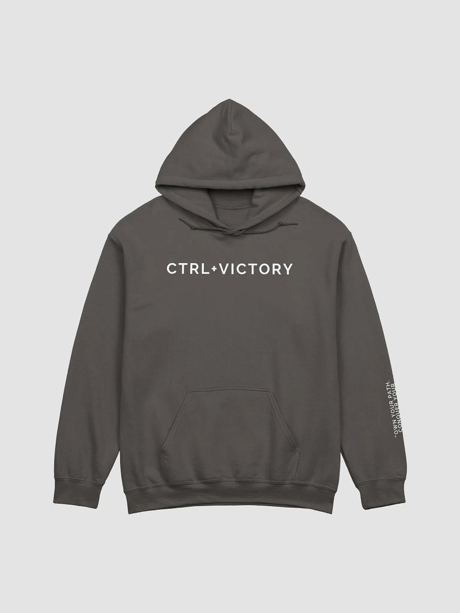 CTRL+VICTORY Hoodie product image (1)